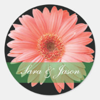 Pink Gerber Daisy on black wedding sticker
