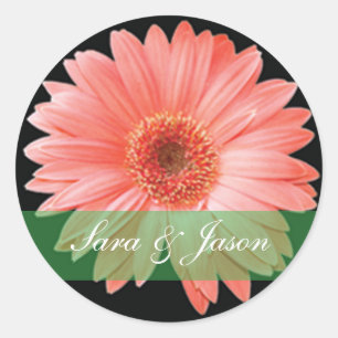 Pink Gerber Daisy on black wedding sticker