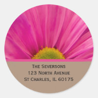 Pink Gerber Daisy on Tan Return Address