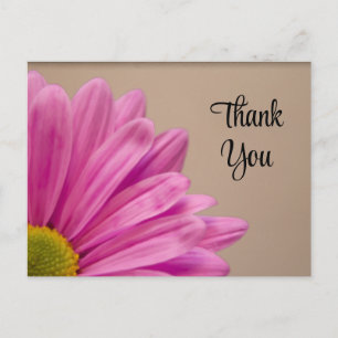 Pink Gerber Daisy Thank You Postcard