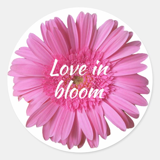 Pink Gerber Daisy with Text Sticker (Front)