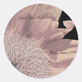 Pink Gerbera Custom Envelope Seals