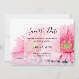 Pink Gerbera Daisies Elegant Photo Save The Date