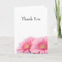 Pink Gerbera Daisies Elegant Photography