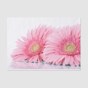 Pink Gerbera Daisies Elegant Photography Tissue Paper