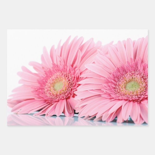  Pink Gerbera Daisies Elegant Photography Wrapping Paper Sheet (Front)