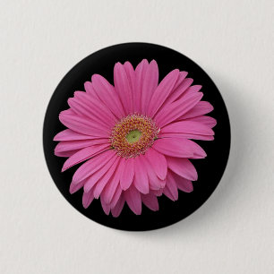 Pink Gerbera Daisy 6 Cm Round Badge