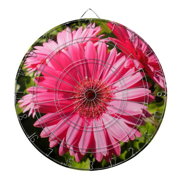 Pink Gerbera Daisy Dartboard (Front)