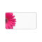 Pink Gerbera Daisy Flower Wedding Blank Address