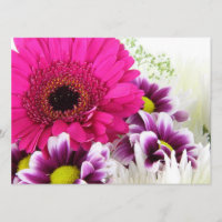 Pink Gerbera Daisy