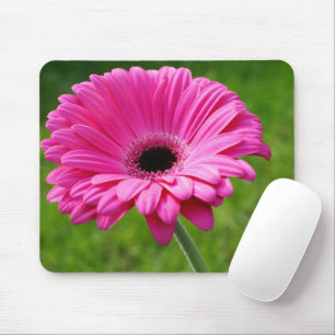 Pink Gerbera Daisy Mouse Mat
