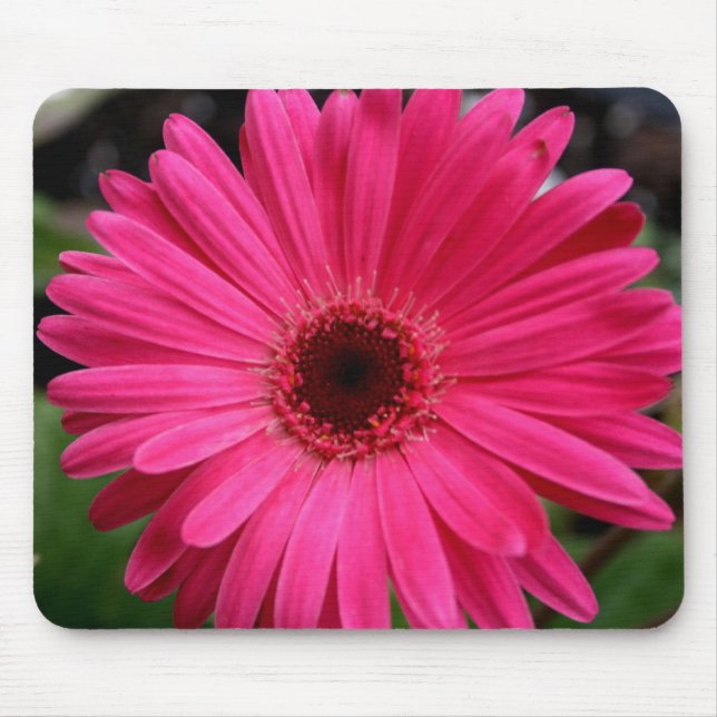 Pink Gerbera Daisy Mouse Mat (Front)