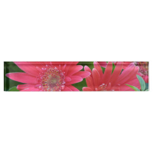 Pink Gerbera Daisy Nameplate