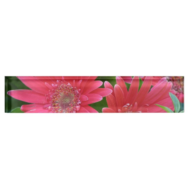 Pink Gerbera Daisy Nameplate (Front)