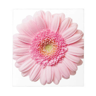 Pink Gerbera Daisy Notepad
