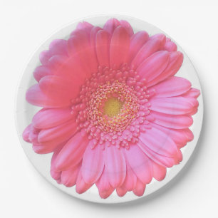 Pink gerbera daisy paper plate