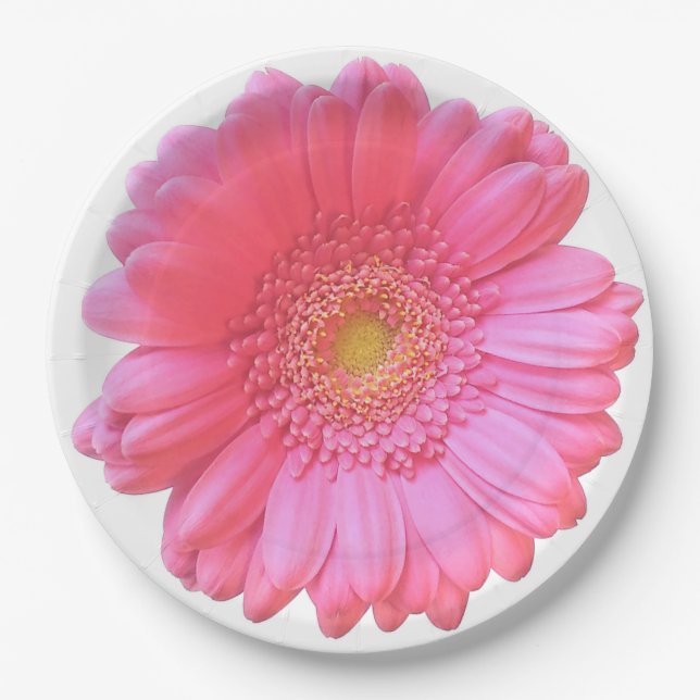 Pink gerbera daisy paper plate (Front)