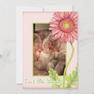 Pink Gerbera Daisy Photo Birth Announcement