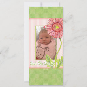 Pink Gerbera Daisy Photo Birth Announcement