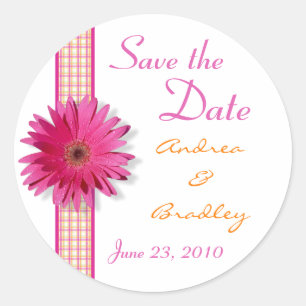 Pink Gerbera Daisy Plaid Ribbon Wedding Classic Round Sticker
