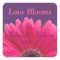 Pink Gerbera Daisy Purple Wedding Sticker