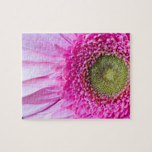 Pink Gerbera Daisy Puzzle
