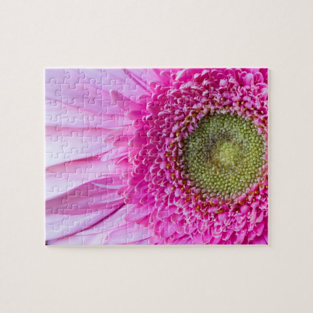 Pink Gerbera Daisy Puzzle (Horizontal)
