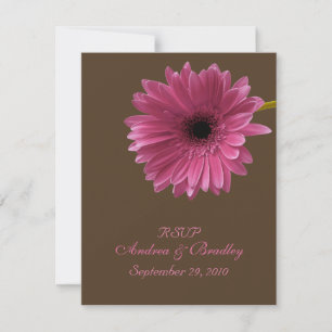 Pink Gerbera Daisy Response Card