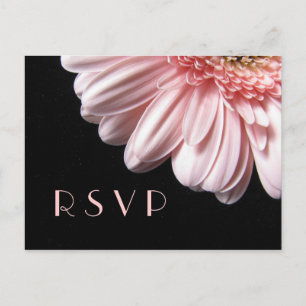Pink Gerbera Daisy RSVP Postcard