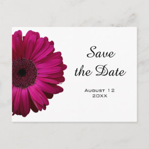 Pink Gerbera Daisy Save the Date Postcard