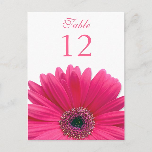 Pink Gerbera Daisy Table Number Card (Front)