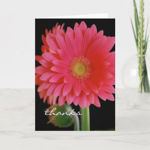 Pink Gerbera Daisy Thank You Card