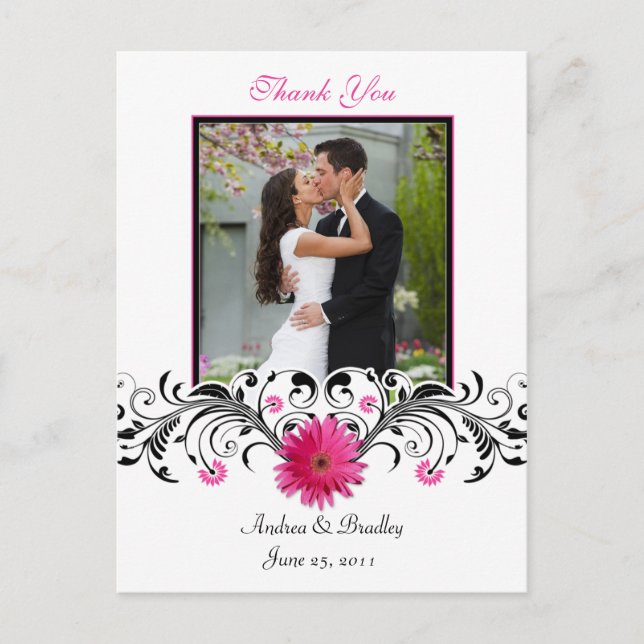 Pink Gerbera Daisy Thank You Postcard (Front)