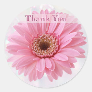 Pink Gerbera daisy Thank you Sticker