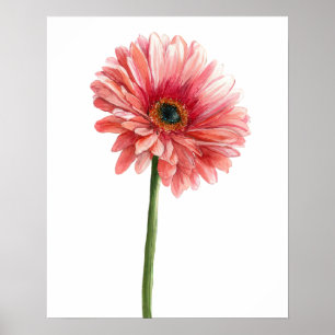 Pink Gerbera Daisy Watercolor Garden Nature Lover Poster