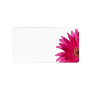 Pink Gerbera Daisy Wedding Blank Address Label