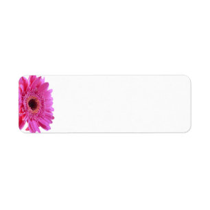 Pink Gerbera Daisy Wedding Blank Address Labels
