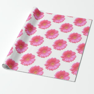 Pink gerbera daisy wrapping paper