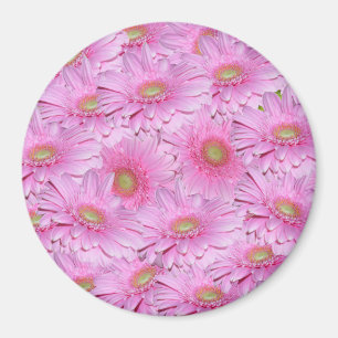 Pink Gerbera Flower Clusters, Magnet