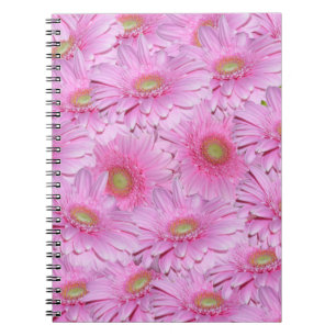 Pink Gerbera Flower Clusters,  Notebook