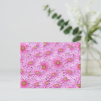 Pink Gerbera Flower Clusters,