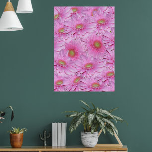 Pink Gerbera Flower Clusters, Poster