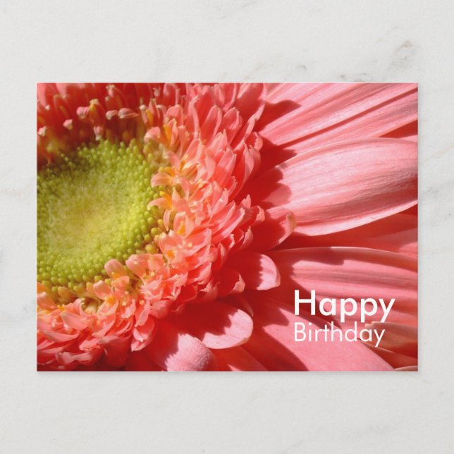 Pink Gerbera - Happy Birthday Postcard (Front)