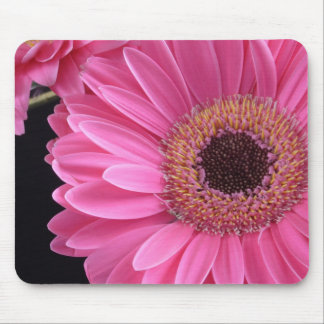 Pink Gerbera Mouse Mat