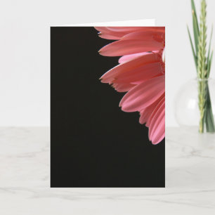 Pink Gerbera on Black Card