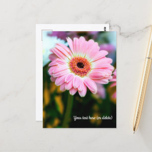 Pink Gerbera Postcard