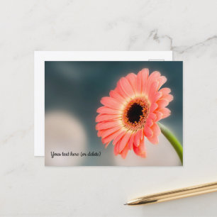 Pink Gerbera Postcard