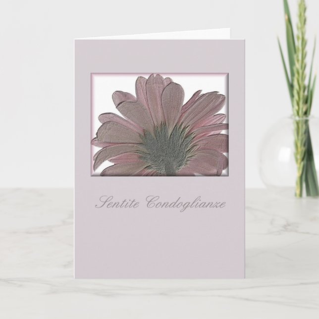 pink gerbera sympathy card italian (Front)