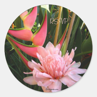 Pink Ginger Heliconia Wedding Envelope Seals