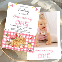 Pink Gingham Bunting Photo Picnic 1st Birthday 